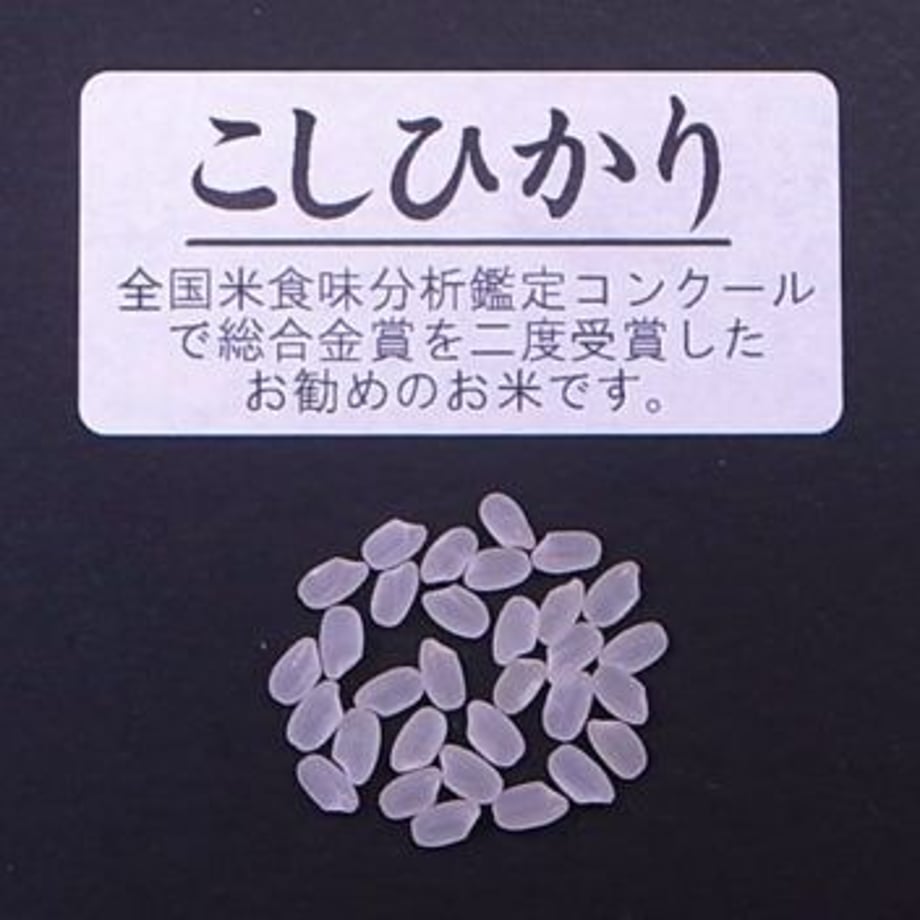 5faa488bdf515961fe73c119