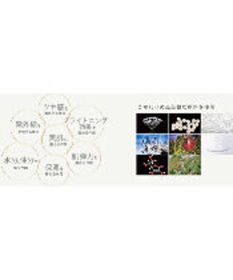 【DRPL】ベルネージュ(11g)