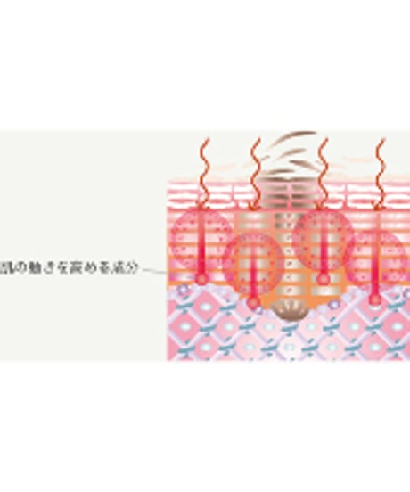 【DRPL】№８P フェイシャルトリートメント(30g)　※医薬部外品