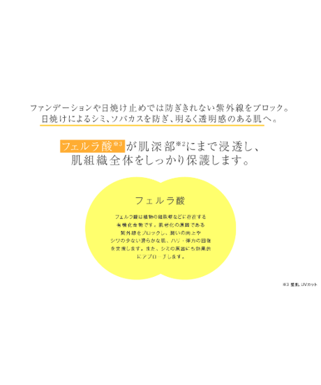 【メソシューティカル】FAセラム10ml（細胞日焼止）