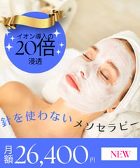 【月額制：1カ月に1回】美肌再生導入WHITEケア