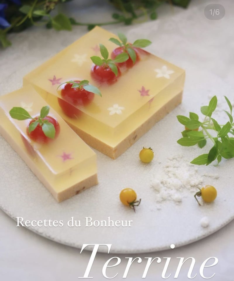 予約販売☆≪テリーヌマストアイテム≫ フラット丸 白 直径26cm