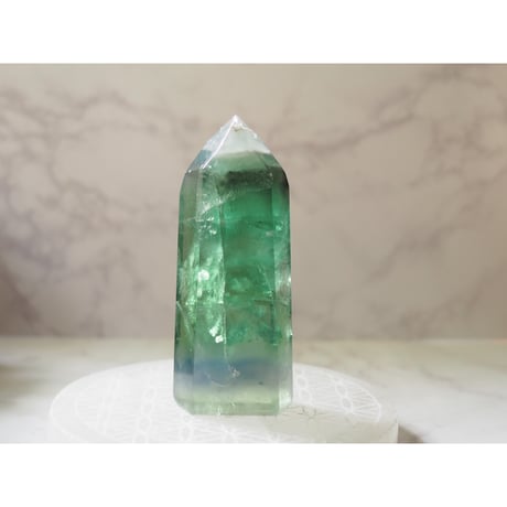 グリーンフローライト | STORES