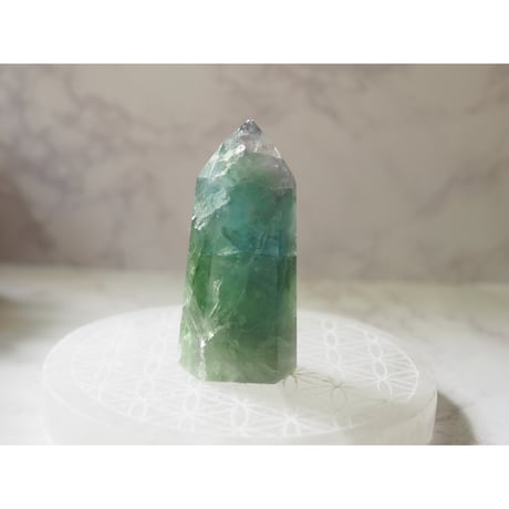 グリーンフローライト | STORES