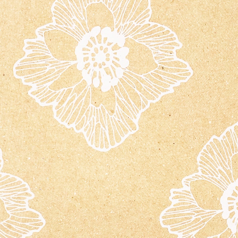 A4紙製ファイル： [Anemone]GAクラフトボードアース | totte.