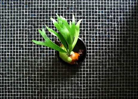 ovject IKEBANA VASE S SIZE 18cm