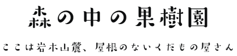 MORIKAJU STORE