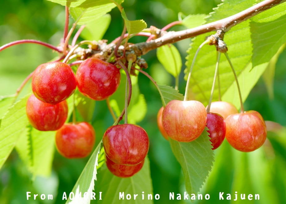 6a02b95e59c112cdc3d4b4f0