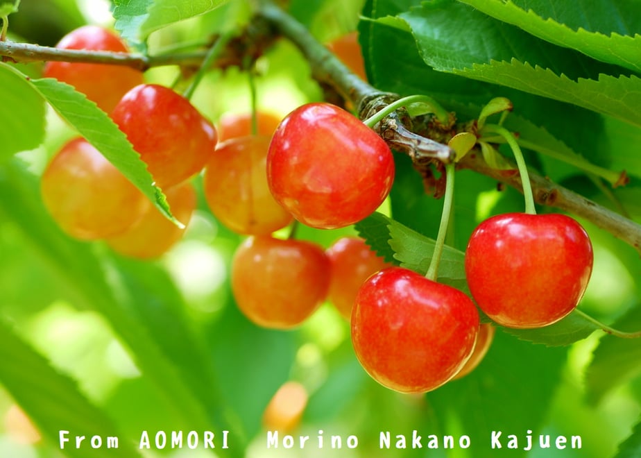 6a02b95e59c112cdc3d4b4f0