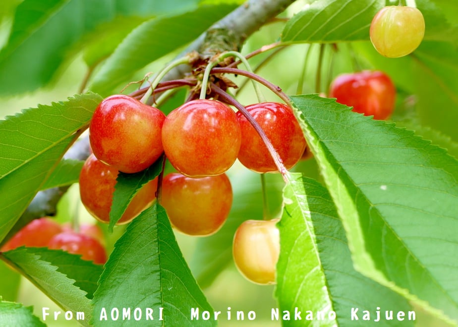 6a02b95e59c112cdc3d4b4f0