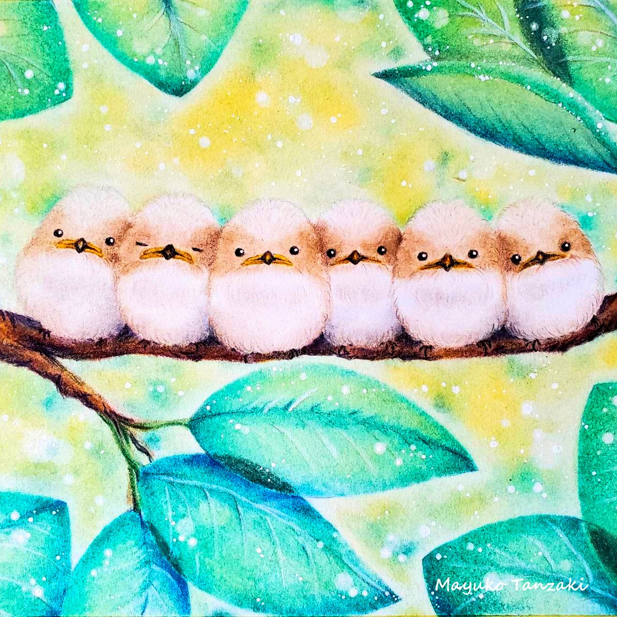 円満♡仲良しシマエナガ 円満♡仲良しシマエナガ