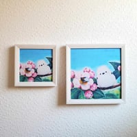 秋♪どんぐり♡シマエナガ ぼく、シマエナガ。 on X: 