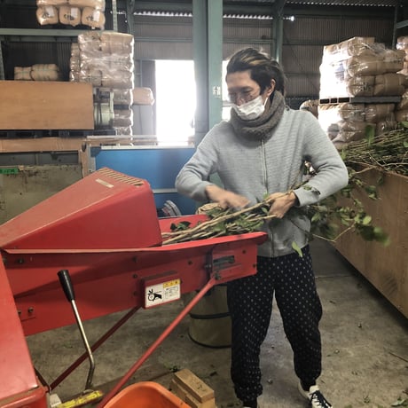 薪火焙煎 茶の木の茶（三年晩茶）300g