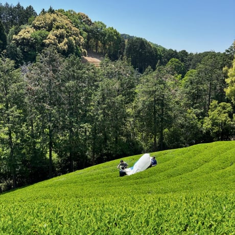 和紅茶　100g