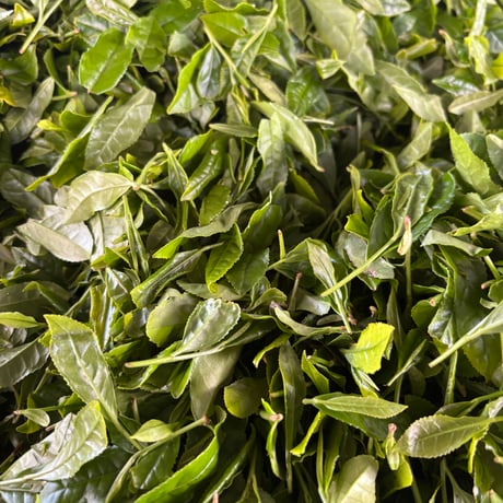 香りの煎茶　満月／八十八夜　100g