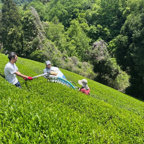 香りの煎茶　満月／八十八夜　100g