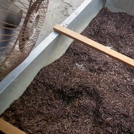 吉田家のお茶　ほうじ茶　100g