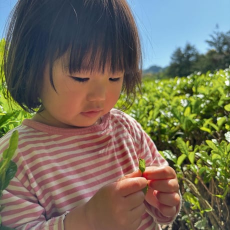 和紅茶　100g