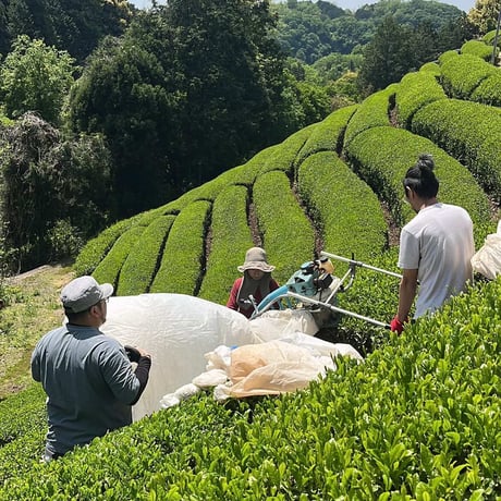 香りの煎茶　満月／八十八夜　100g
