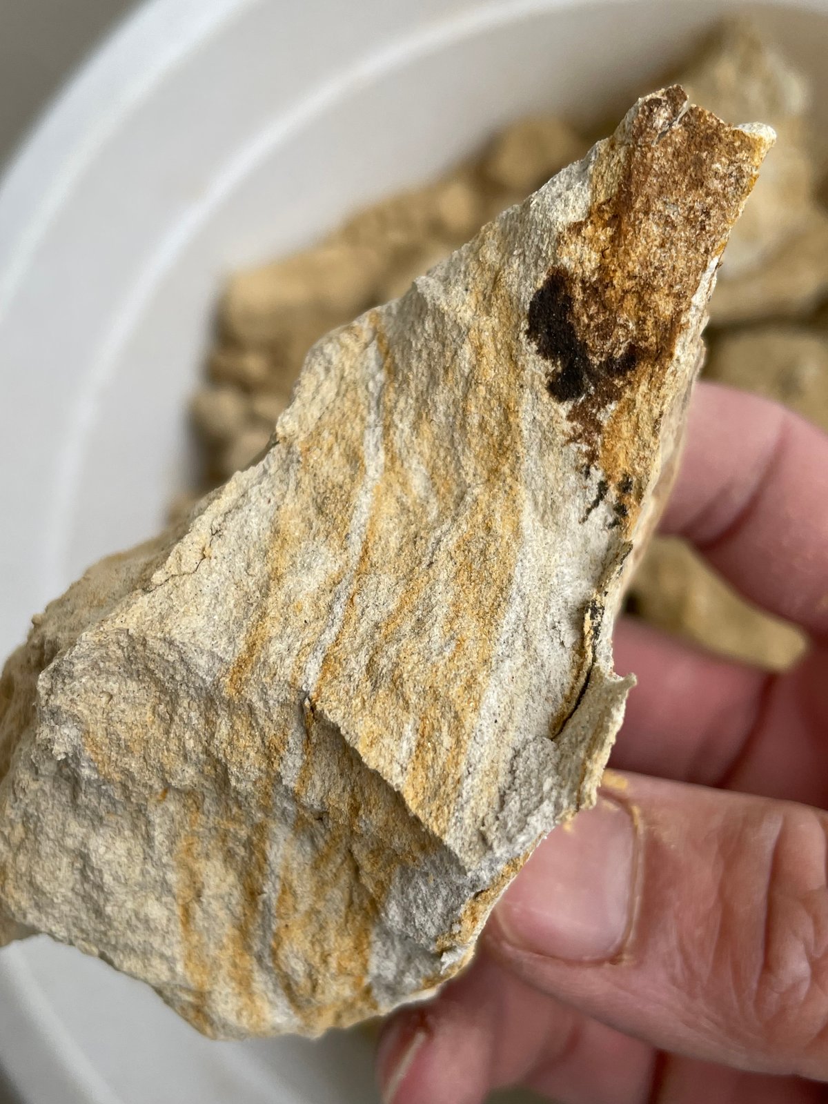 ￥８0００に値下げ‼　薩摩焼　(帯留め お地蔵様)　唐津焼　(盃鮫肌片口)セツト ギフトセット | 【通販】焼津つくだ煮の寺岡けい吉商店