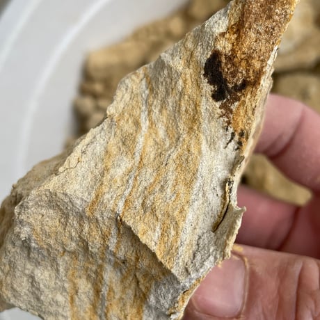 唐津原土　12kg