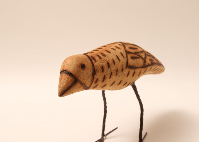 風鳥 極楽鳥 剥製 インテリア アンティーク レトロ ヴィンテージ アート 2025年最新】剥製 極楽鳥の人気アイテム - メルカリ