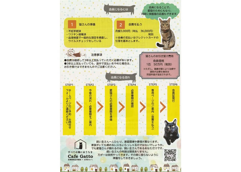 毎月】愛猫たすけあい制度 会費 | cafegatto's STORE