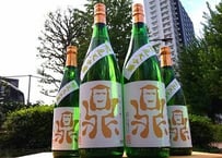 新政 - 新政 亜麻猫 産土 二農醸 新政 亜麻猫(あまねこ） 720ml | おいしい地酒とワインの店ワダヤ