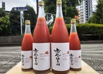 而今 特別純米 720ml | おいしい地酒とワインの店ワダヤ
