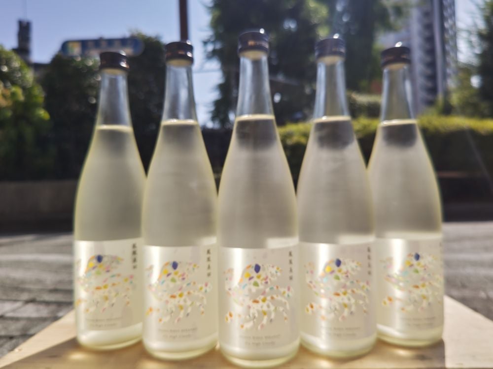 もみ他 Kawasaki Z900RS POWER BOX FULL 4in1 ソリッドチタン | SP