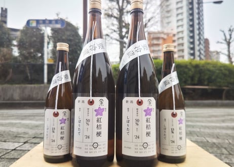 CATEGORY 日本酒 | おいしい地酒とワインの店ワダヤ
