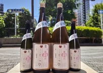 新政No.6Hタイプ2本 島田サヤ 新政NO.6 X-type