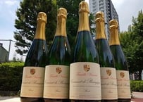クレマン・ド・ブルゴーニュ　シャトー・フュイッセNV　750ml
