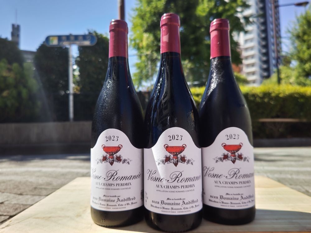 ヴォーヌ・ロマネ 2020 ドメーヌ・ベルソー・ジェルベ ヴォーヌ・ロマネ 2020 ドメーヌ・ベルソー・ジェルベ