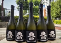 新政 NO.6 X-type 720ml | おいしい地酒とワインの店ワダヤ