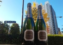ダミア　カヴァ　ブルット　750ml