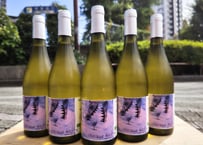 クロコディール・ロックNV（白） 750ml