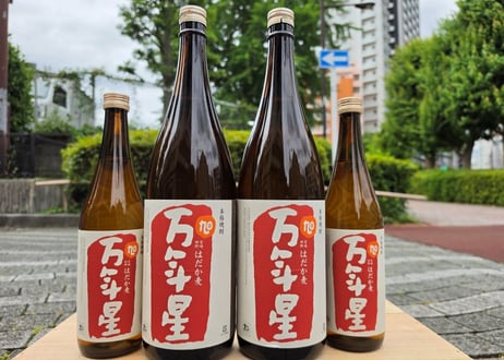 CATEGORY 焼酎 | おいしい地酒とワインの店ワダヤ