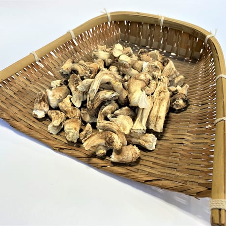 静岡県産　椎茸　足