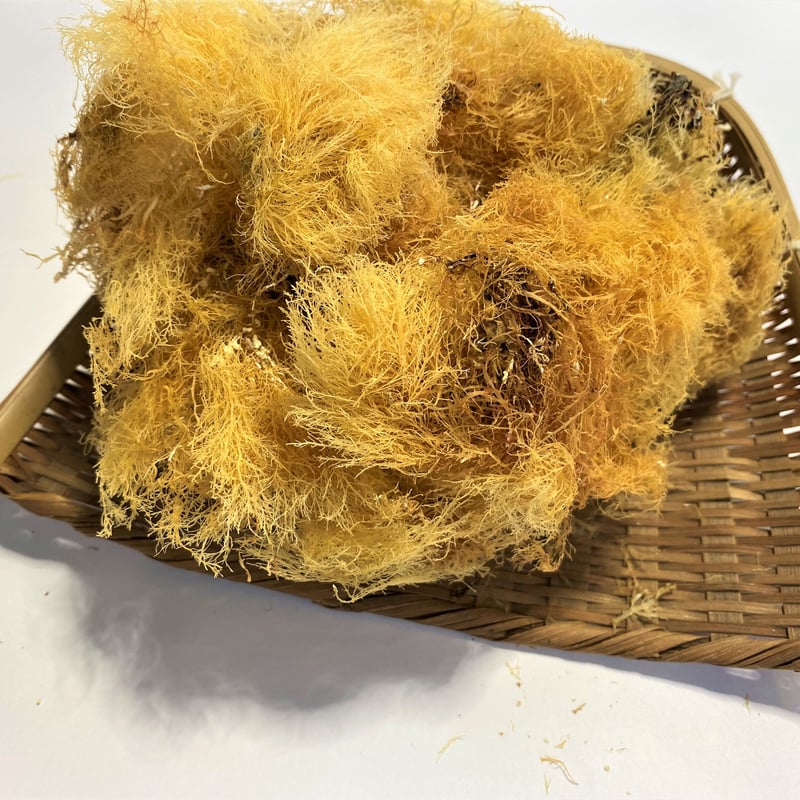 静岡伊豆産 てんぐさ | 石渡源三郎商店 国産に拘った乾物屋