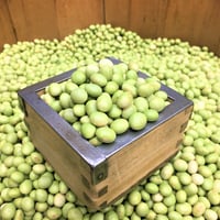 山形県産　秘伝豆