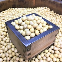 北海道産　つる娘大豆