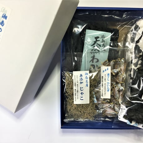 御中元・御歳暮・御進物　湘南の風味　詰め合わせＣ