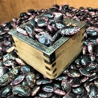 北海道産　紫花豆 令和8年12月新物入荷予定