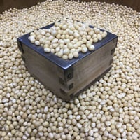 北海道産　白小豆
