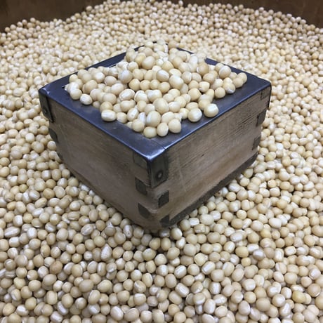 北海道産　白小豆
