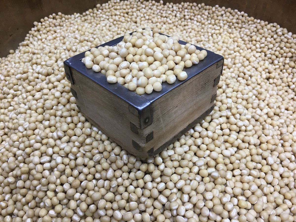 2kg　新物白小豆　米/穀物