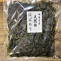 湘南　天然はばのり　令和8年12月　新物入荷予定