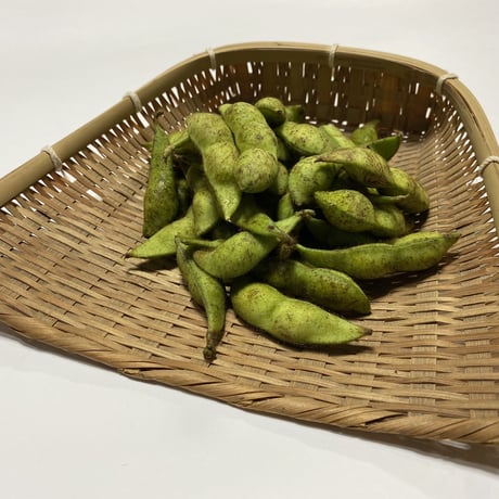 京都丹波　黒豆の枝豆