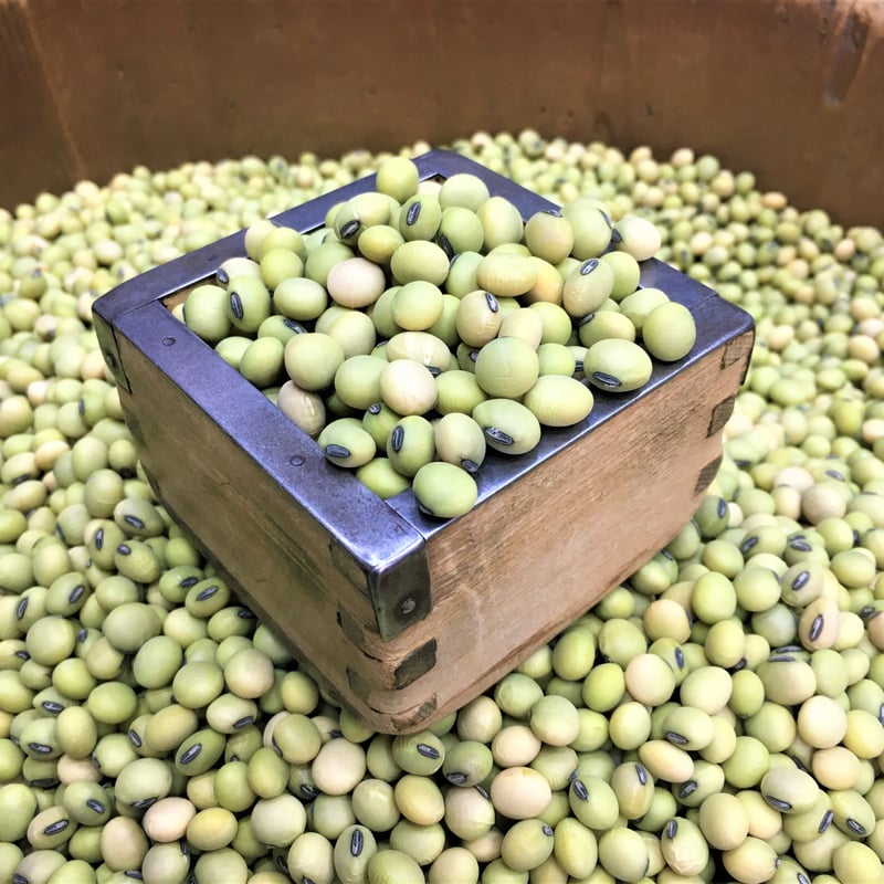 新物 長野県産 一人娘大豆 | 石渡源三郎商店 国産に拘った乾物屋